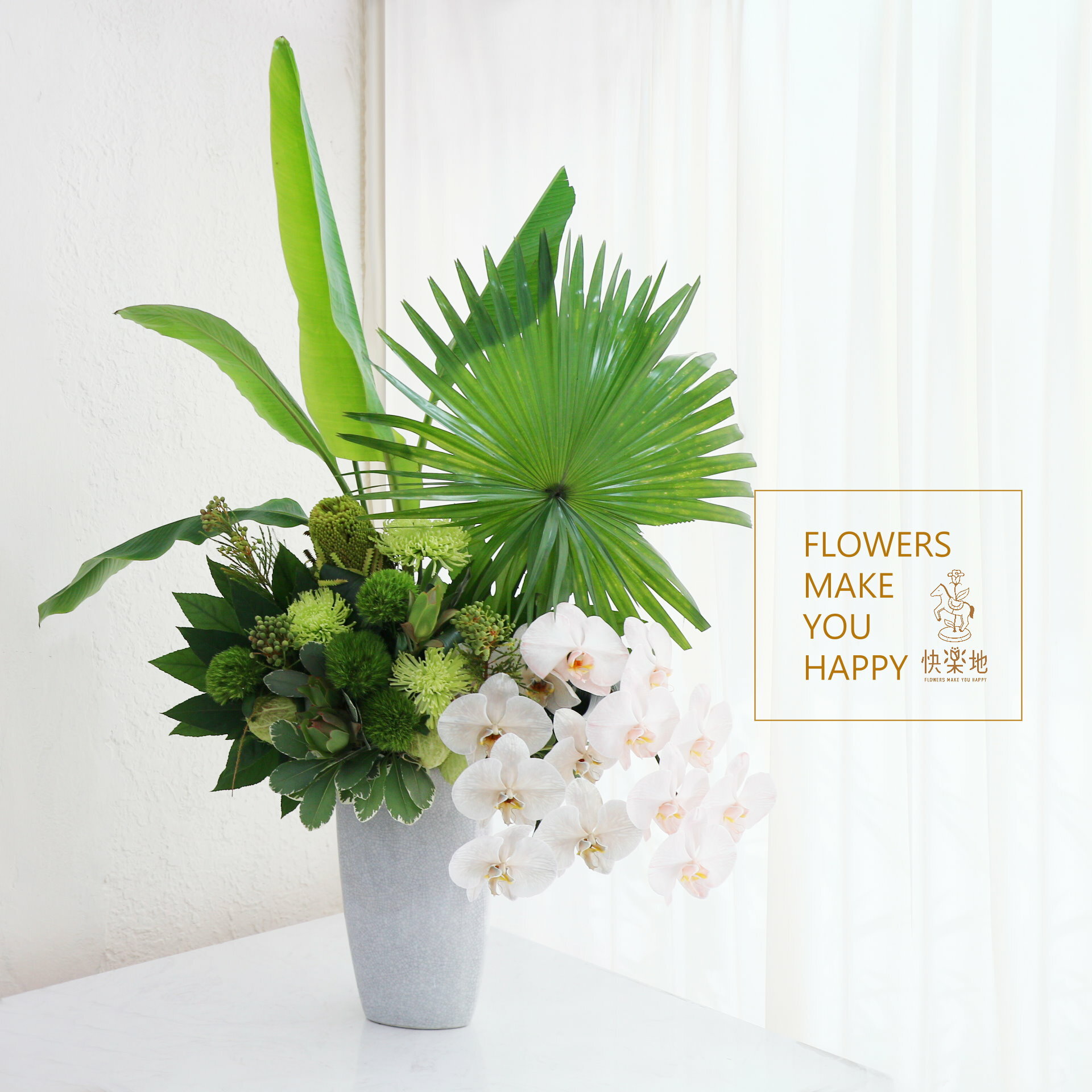 那一年夏日的風 I 盆花  AF240580