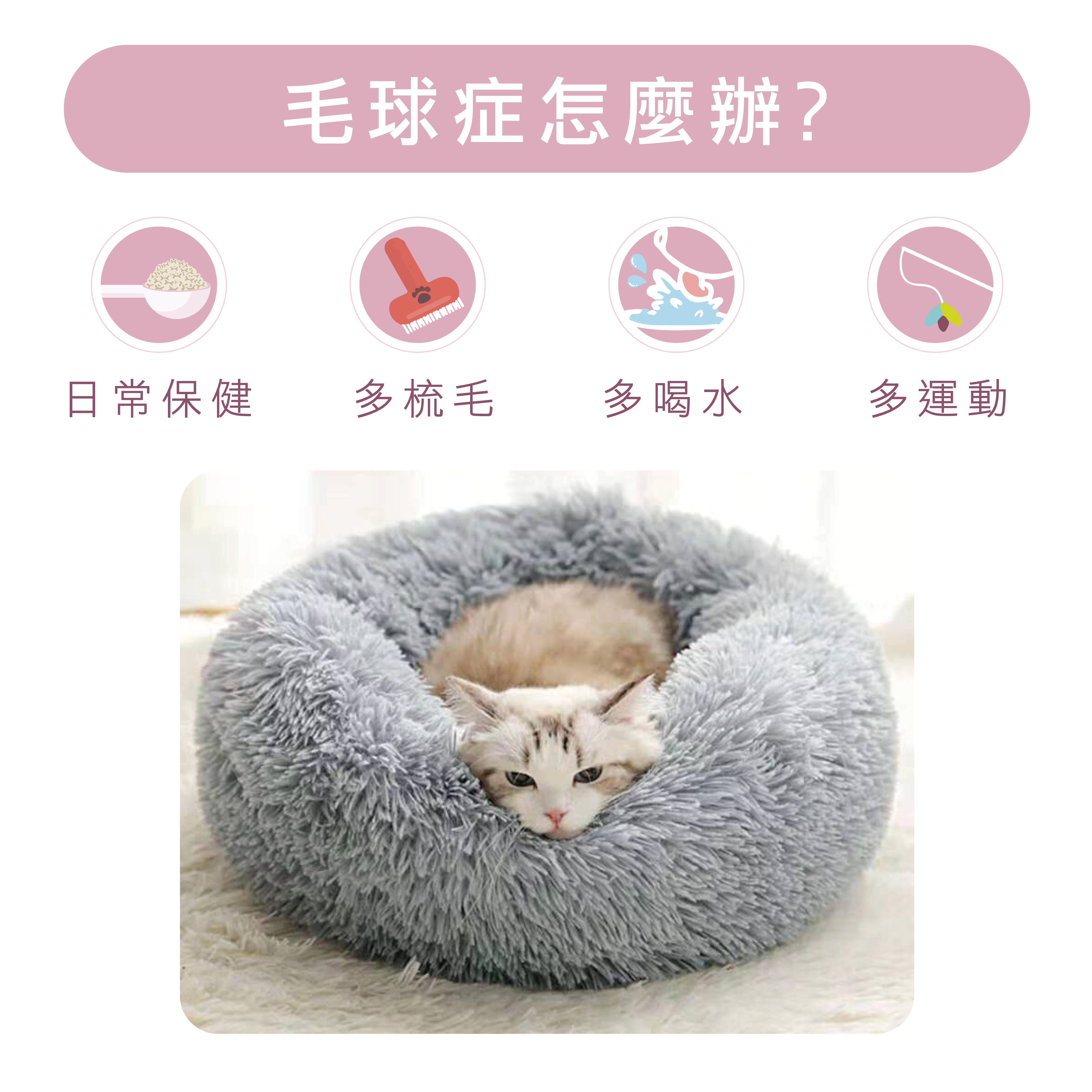 貓咪毛球症該怎麼辦?可以多喝水、多梳毛、補充腸胃保健品