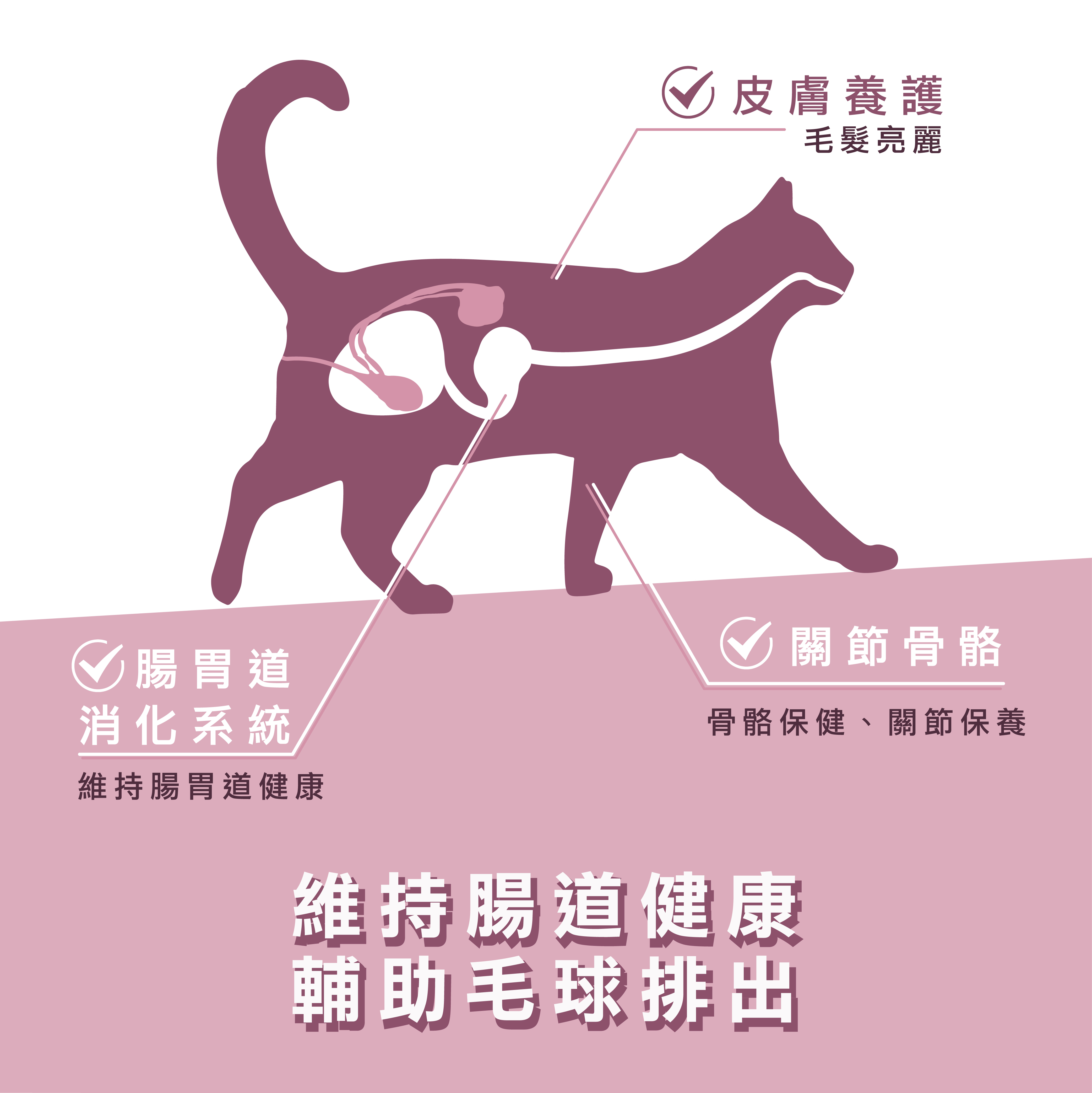 威旺貓腸胃保健品、排毛粉添加專利貝塔粉，維持貓咪腸道健康，輔助排毛