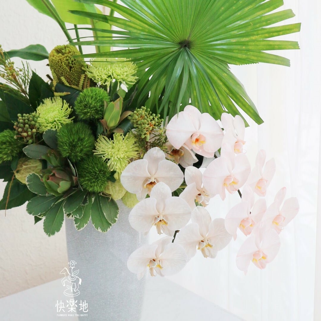 那一年夏日的風 I 盆花  AF240580