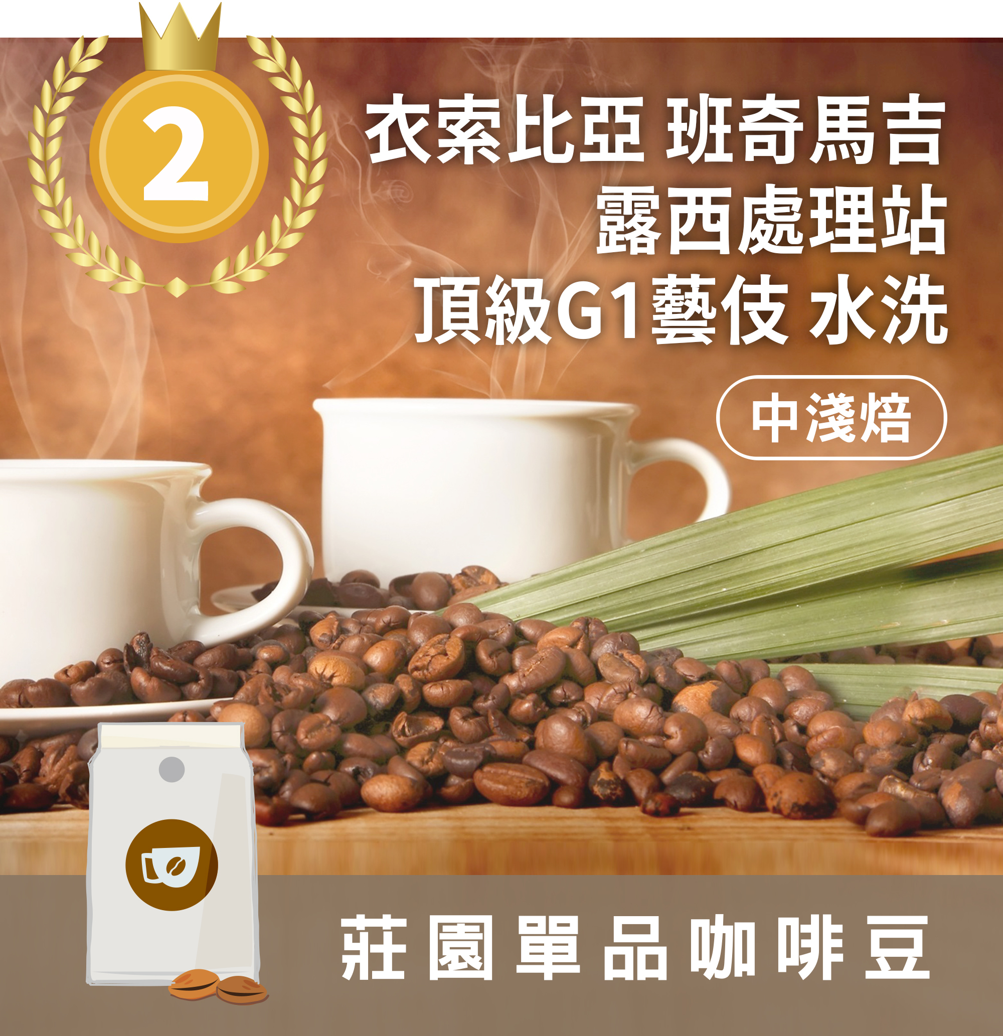 TOP2 莊園精品咖啡豆 中淺焙 衣索比亞 班奇馬吉 露西處理站 頂級G1藝伎 水洗