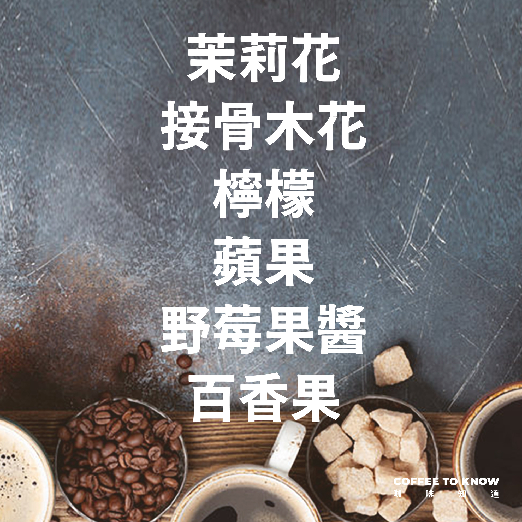 TOP2 莊園精品咖啡豆 中淺焙 衣索比亞 班奇馬吉 露西處理站 頂級G1藝伎 水洗