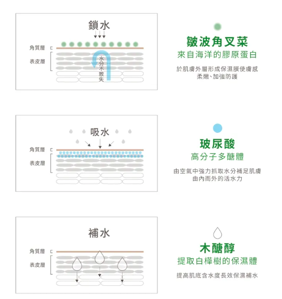 〖售完不補〗23.5°N ｜桂竹活水羽透氧面膜