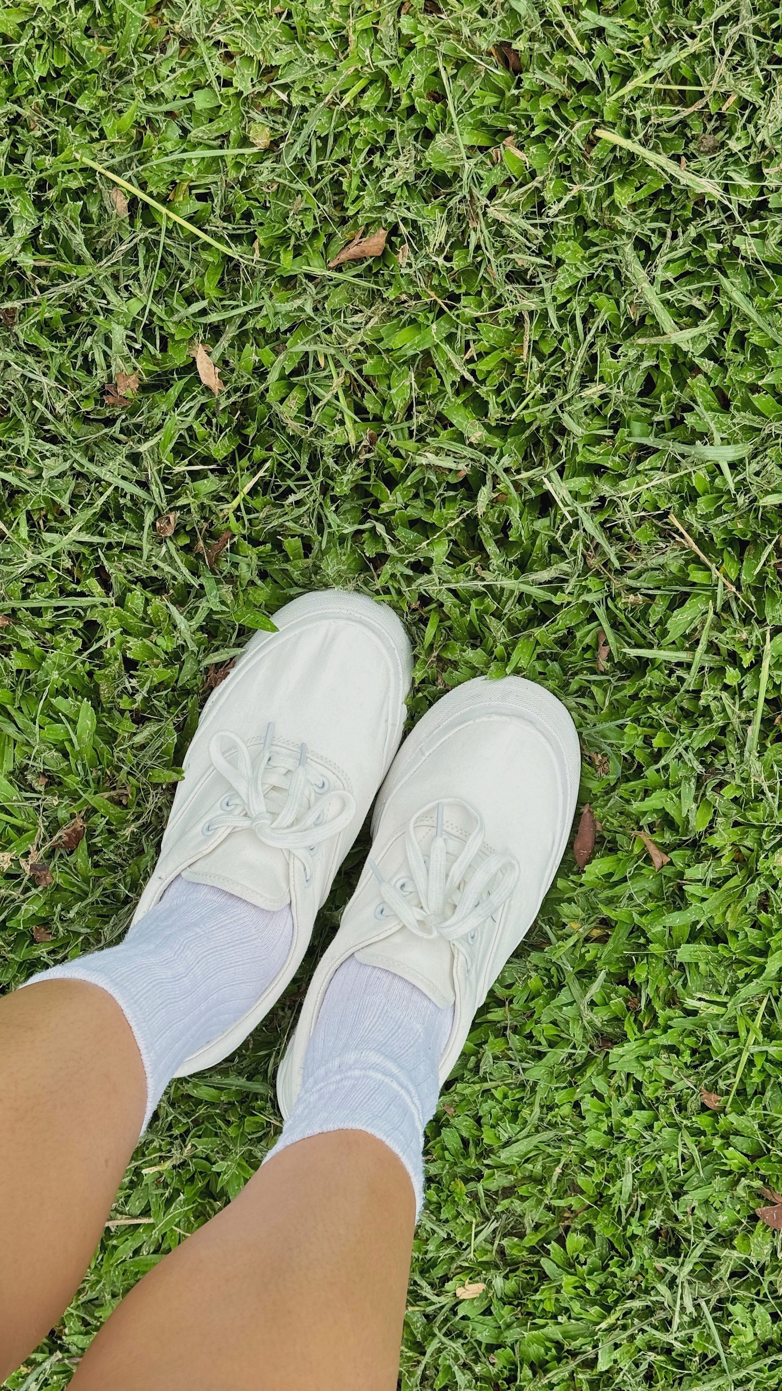 帆布厚底小白鞋