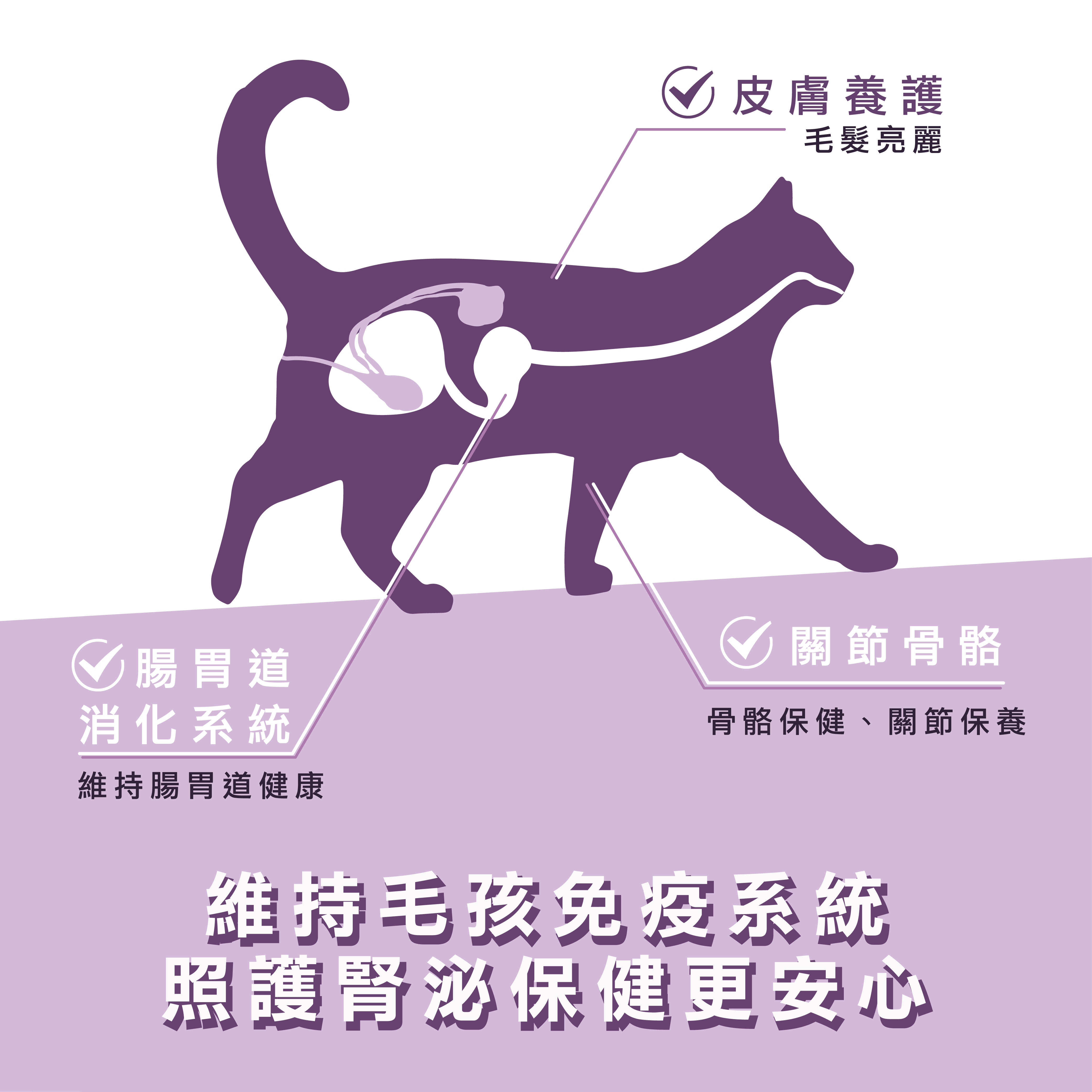 威旺腎臟護理配方可以保護貓咪腎臟,維持毛孩免疫系統