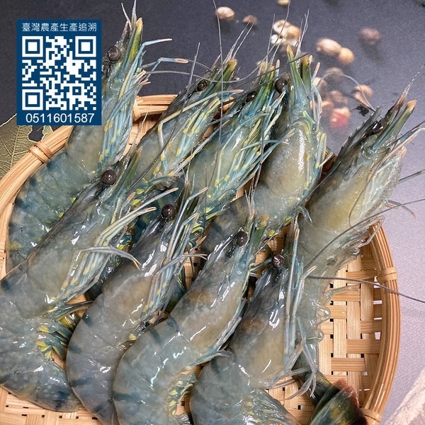 產銷履歷 藍寶石草蝦 200g (7~9尾/包)