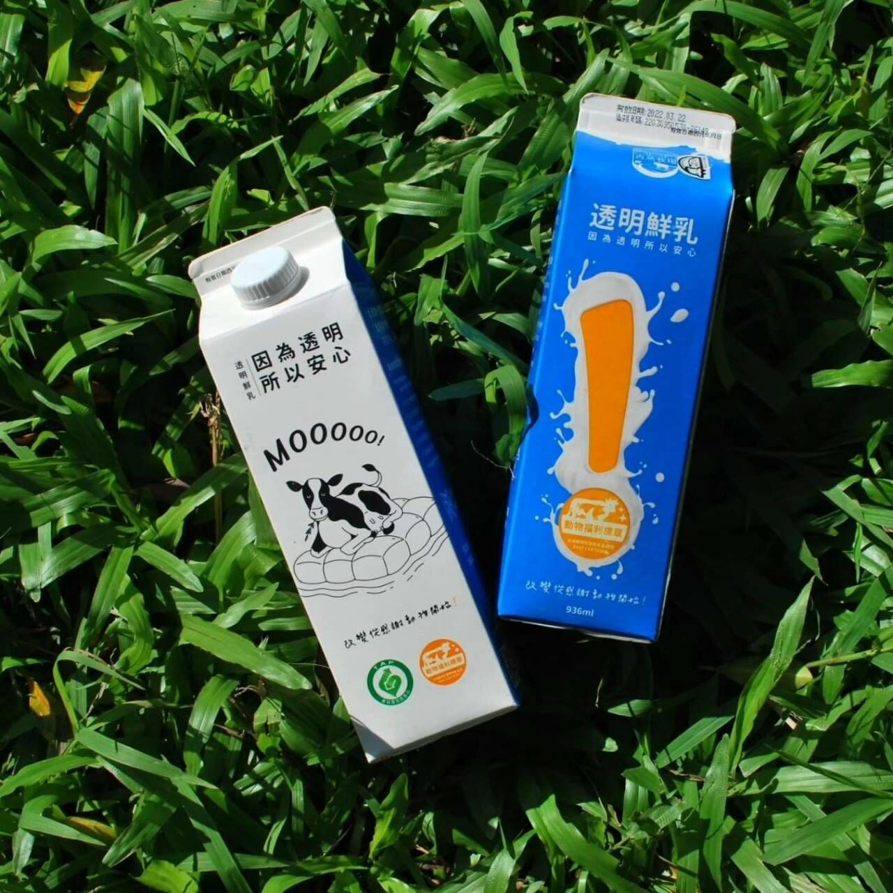Animal Friendly Milk