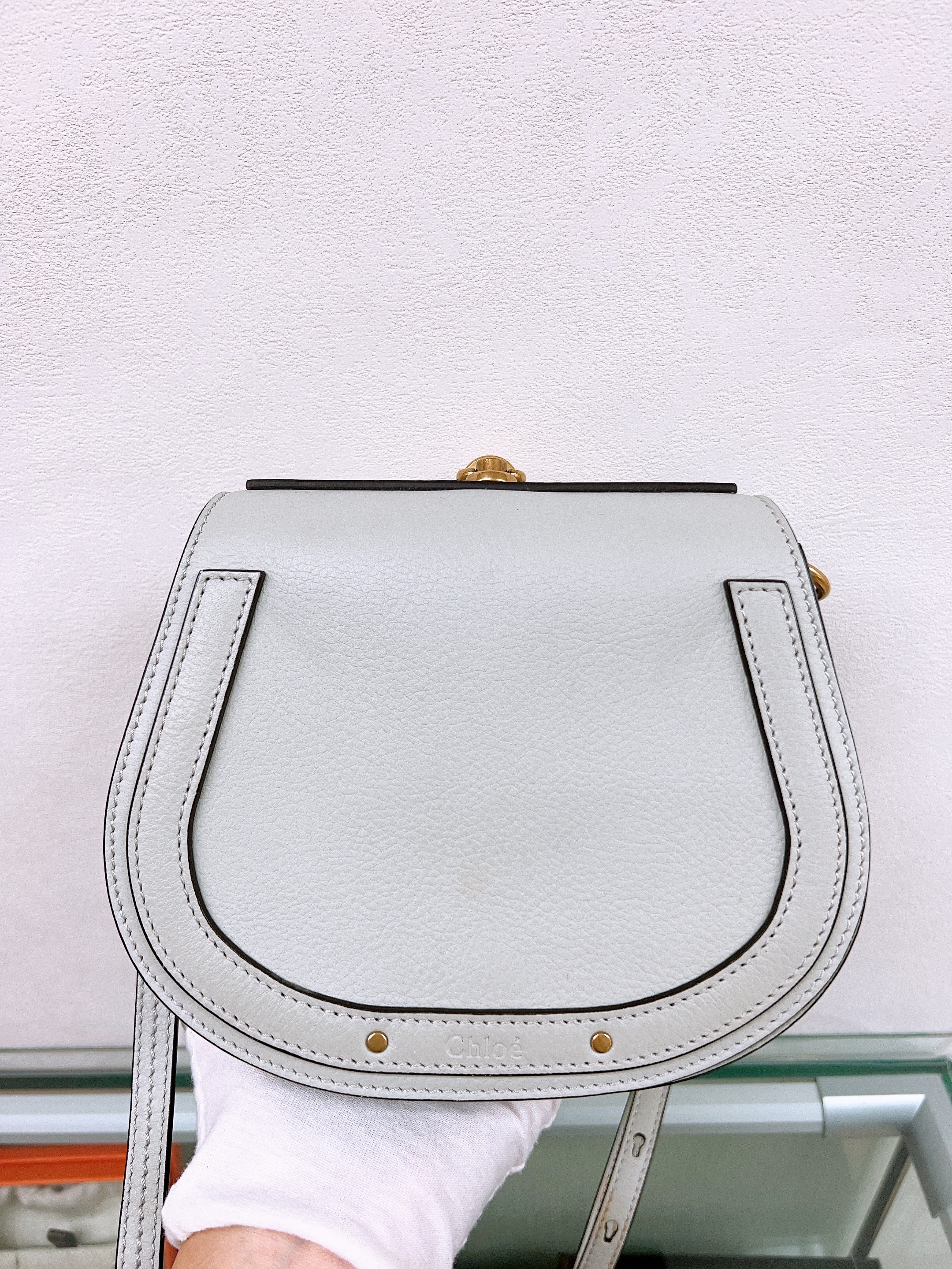 Chloe nile small (light mint)