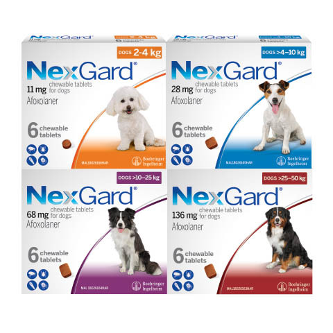 NEXGARD(AFOXOLANER) KILLS FLEA&TICK 6 CHEWABLE