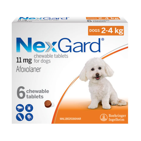 NEXGARD(AFOXOLANER) KILLS FLEA&TICK 6 CHEWABLE