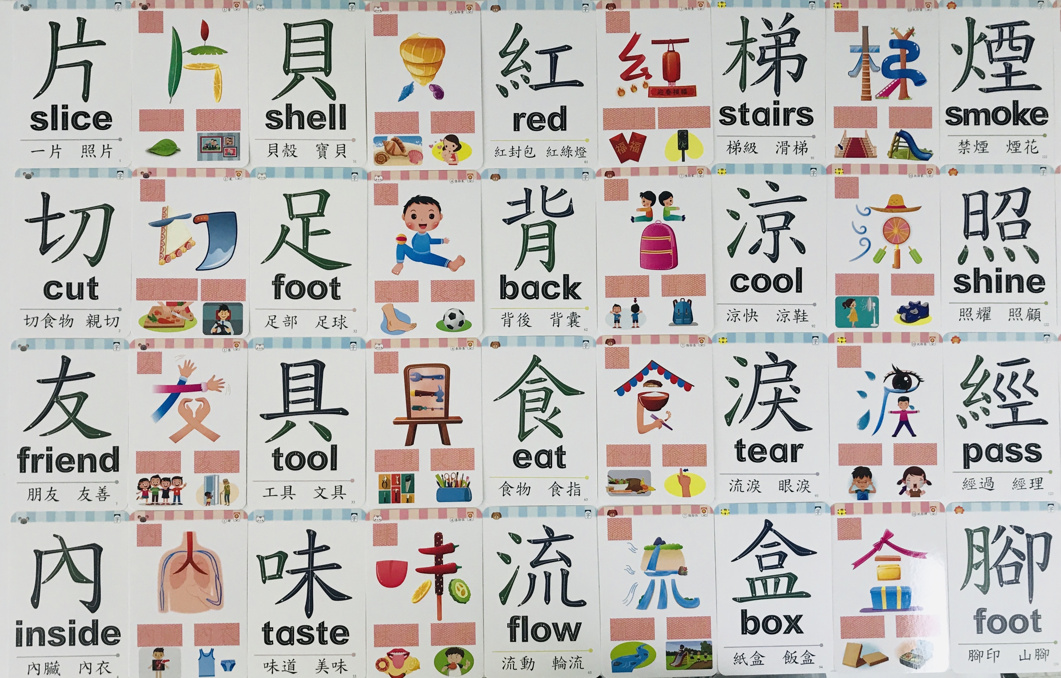 【第一輯＋第二輯】觸感全腦圖像中英文字卡 *海外客戶需另報價