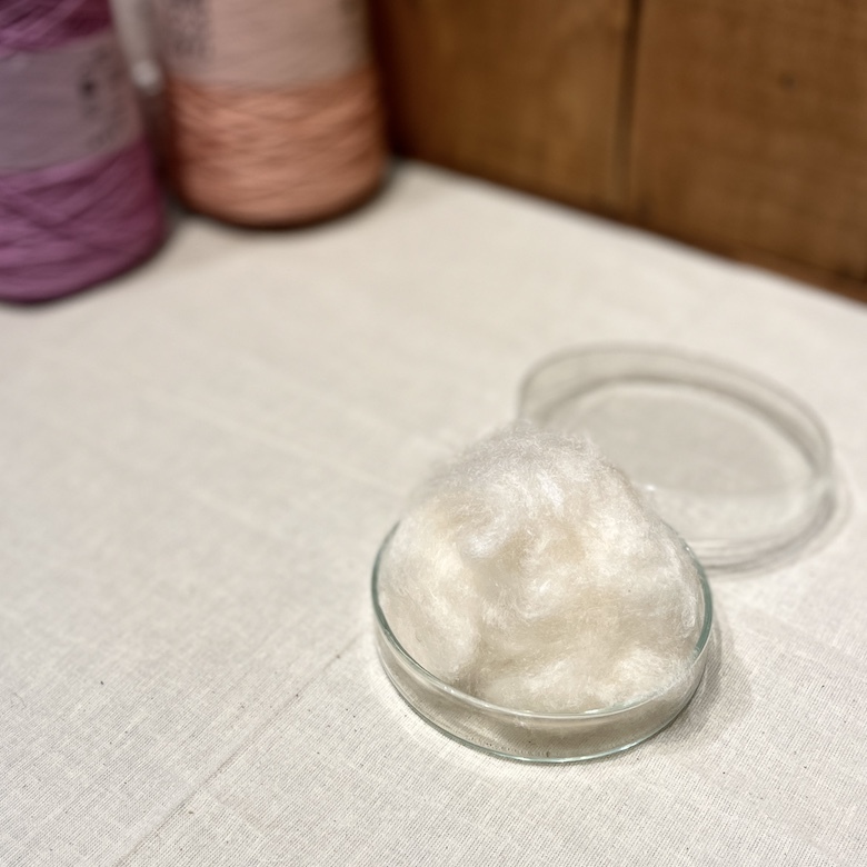 Natural Kapok 天然吉貝棉（木棉）