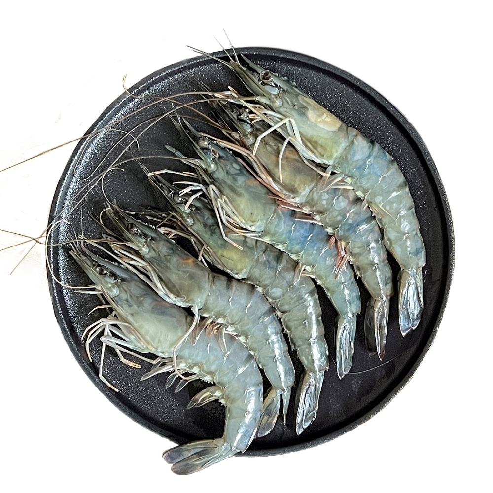 【上億嚴選】優質大草蝦8P/盒