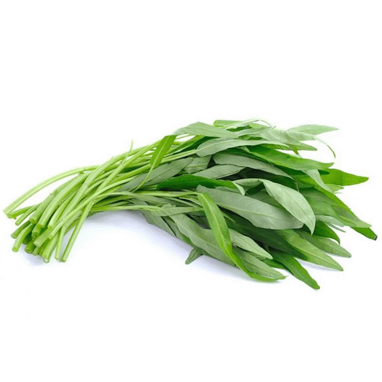 本地通菜