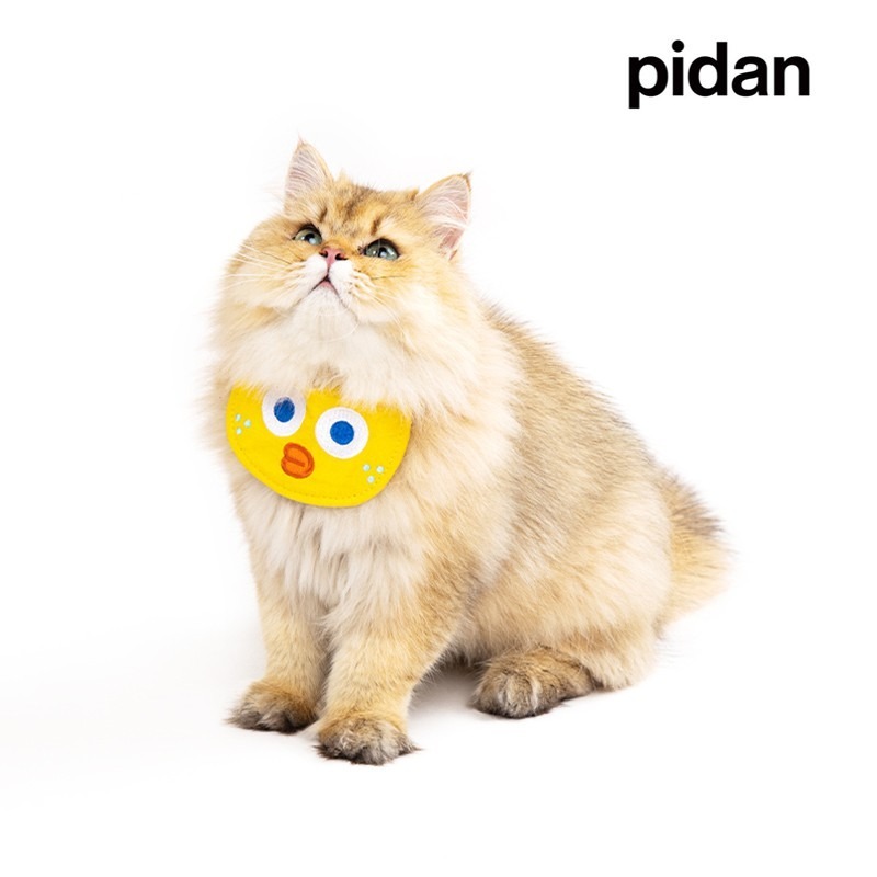 pidan 貓咪狗狗口水巾