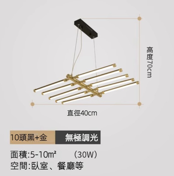 Hot selling creative special-shaped fishbone chandelier (10 heads black + gold / infinite dimming)