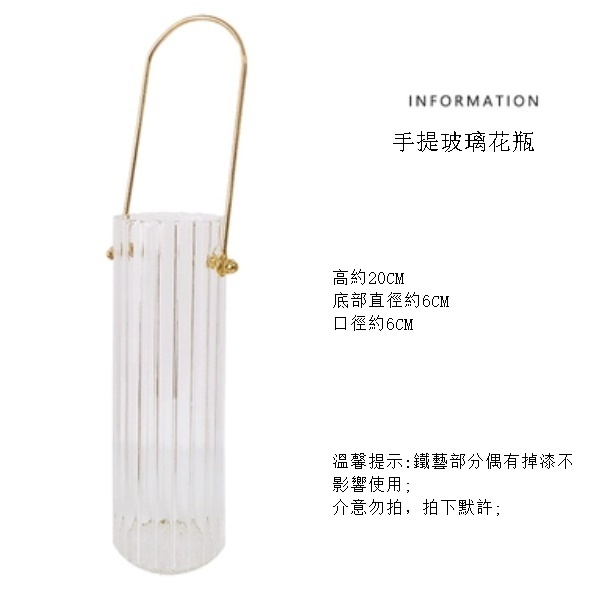 爆款現代簡約小花瓶（大號手提玻璃花瓶）