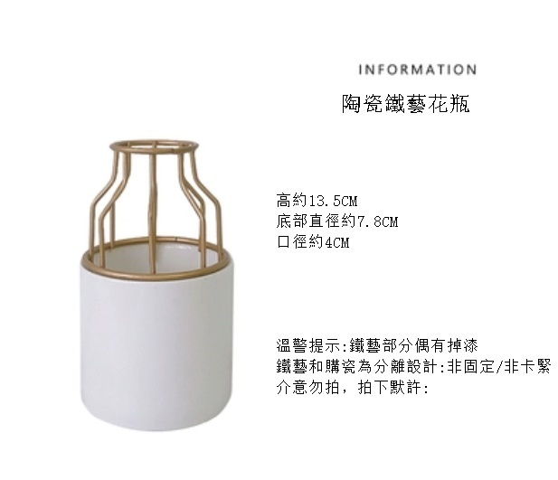 爆款現代簡約小花瓶（陶瓷鐵藝花瓶）