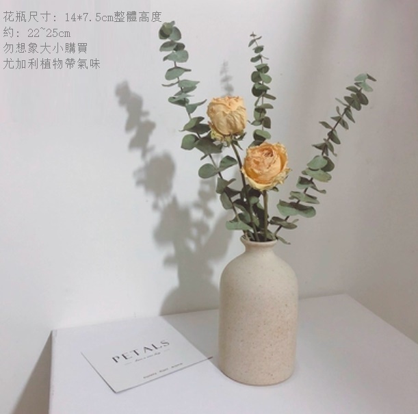 新款幹花花瓶擺件（粗陶花瓶 黃玫瑰尤加利）