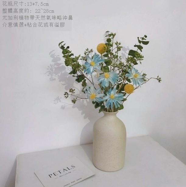 新款幹花花瓶擺件（粗陶花瓶 星蘭尤加利）