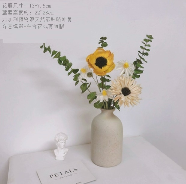 新款幹花花瓶擺件（粗陶花瓶 姜茶尤加利）