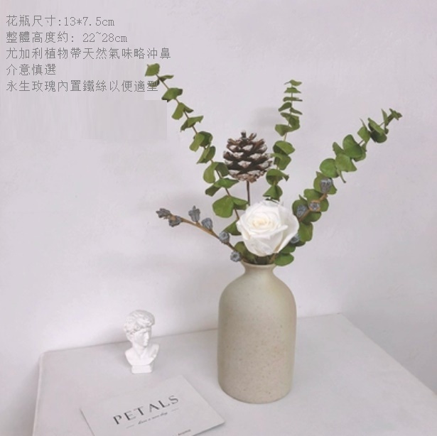 新款幹花花瓶擺件（粗陶花瓶 白月光尤加利）