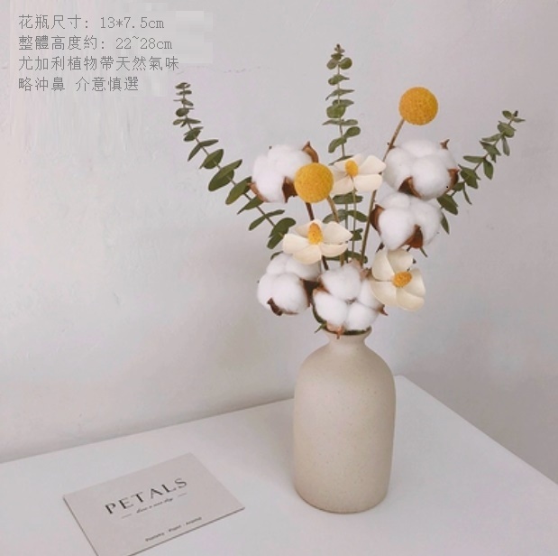 新款幹花花瓶擺件（粗陶花瓶 綿綿花花）