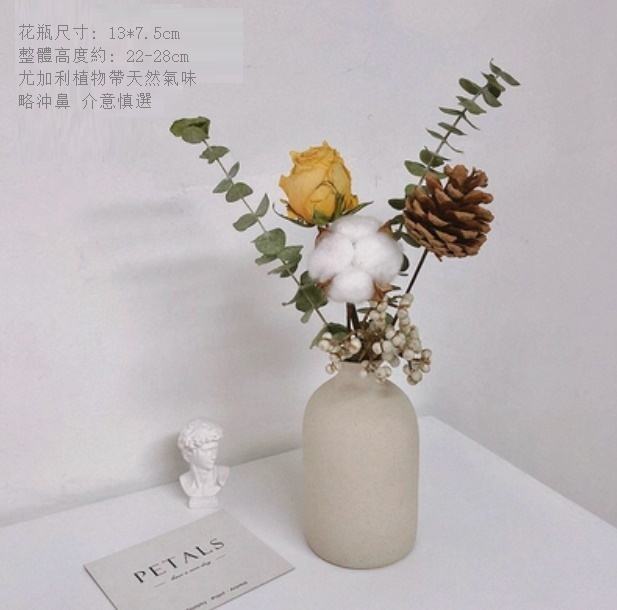 新款幹花花瓶擺件（粗陶花瓶 白果果玫瑰）