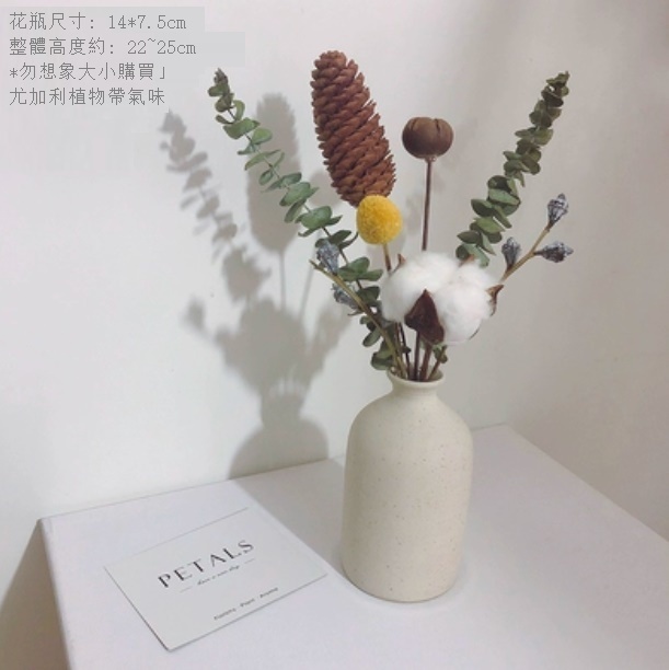 新款幹花花瓶擺件（粗陶花瓶 雲杉尤加利）