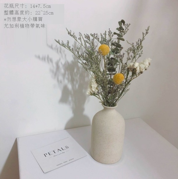 新款幹花花瓶擺件（粗陶花瓶 情人白勿）