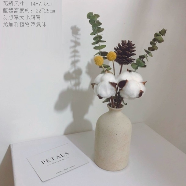 新款幹花花瓶擺件（粗陶花瓶 棉花松果尤加利）