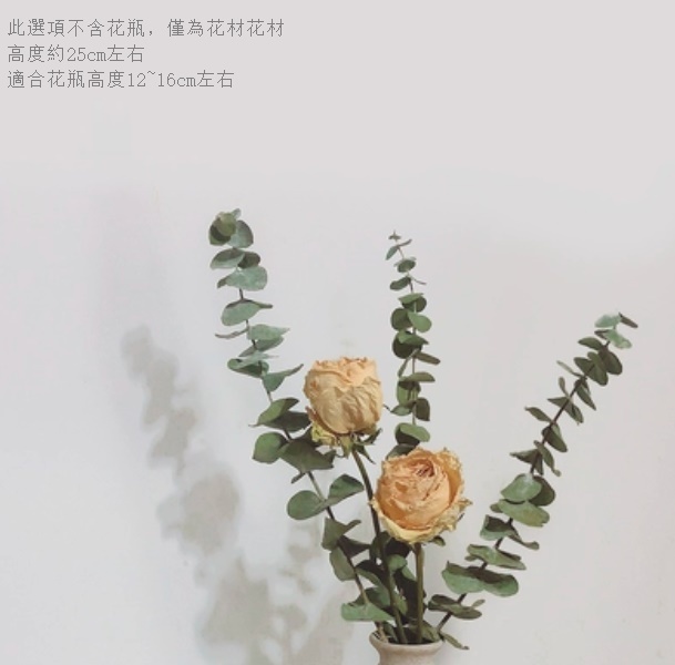 新款幹花花瓶擺件（不含粗陶花瓶 黃玫瑰尤加利）