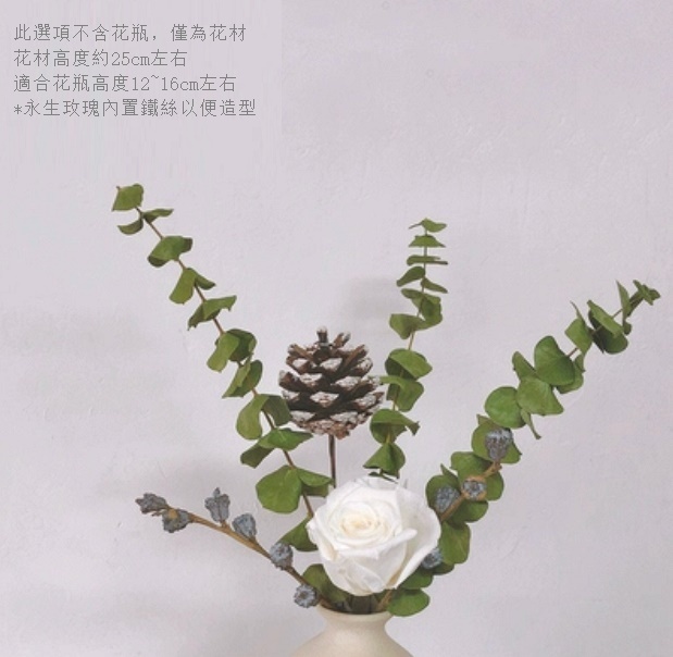 新款幹花花瓶擺件（不含粗陶花瓶 白月光尤加利）