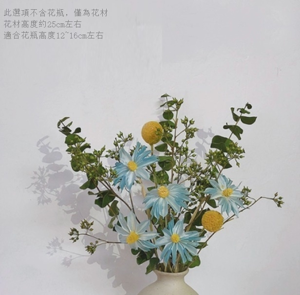 新款幹花花瓶擺件（不含粗陶花瓶 星蘭尤加利）