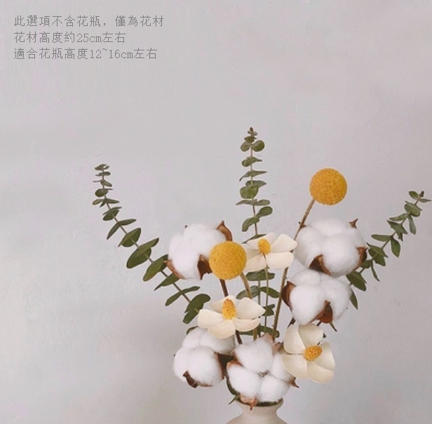 新款幹花花瓶擺件（不含粗陶花瓶 綿綿花花）