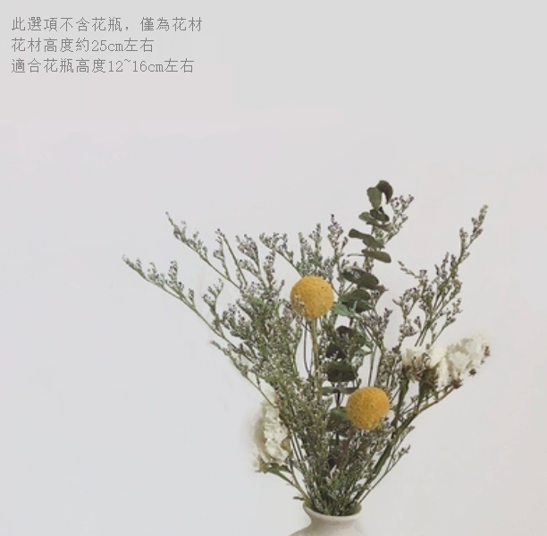 新款幹花花瓶擺件（不含粗陶花瓶 情人白勿）