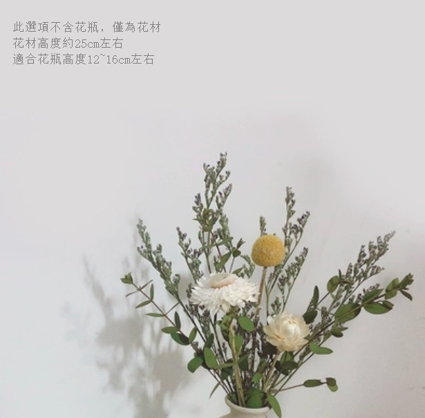 新款幹花花瓶擺件（不含粗陶花瓶 小葉太陽菊）