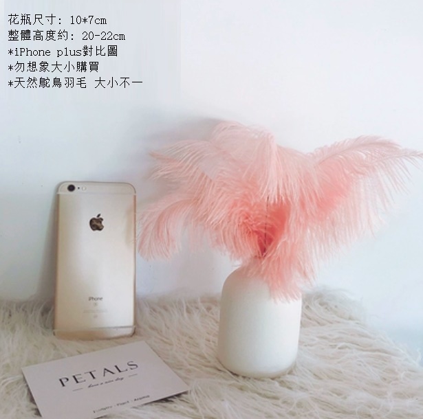 新款鴕鳥羽毛兔尾草幹花花束（白色Q版陶瓷 蝦粉鴕鳥羽毛）