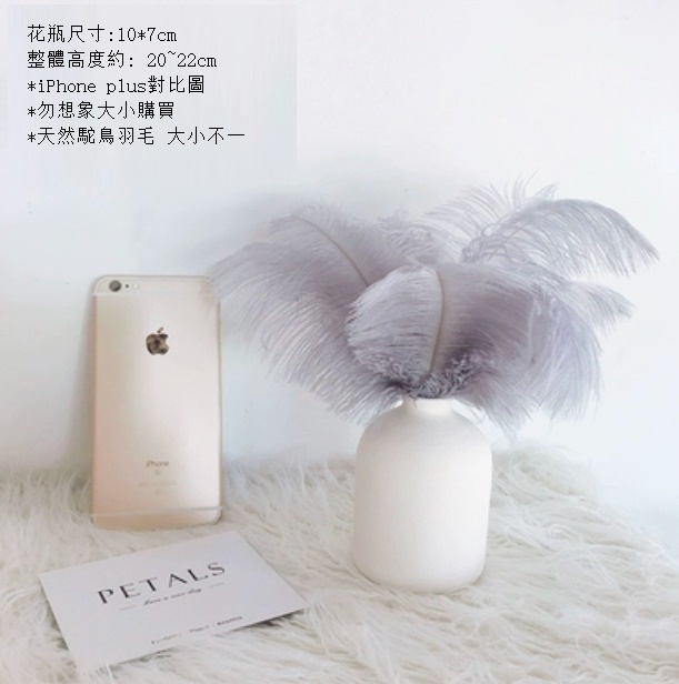 新款鴕鳥羽毛兔尾草幹花花束（白色Q版陶瓷 灰藍鴕鳥羽毛）