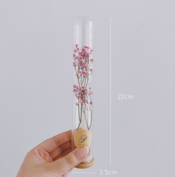 新款玻璃試管幹花花束（試管玻璃+粉色滿天星）
