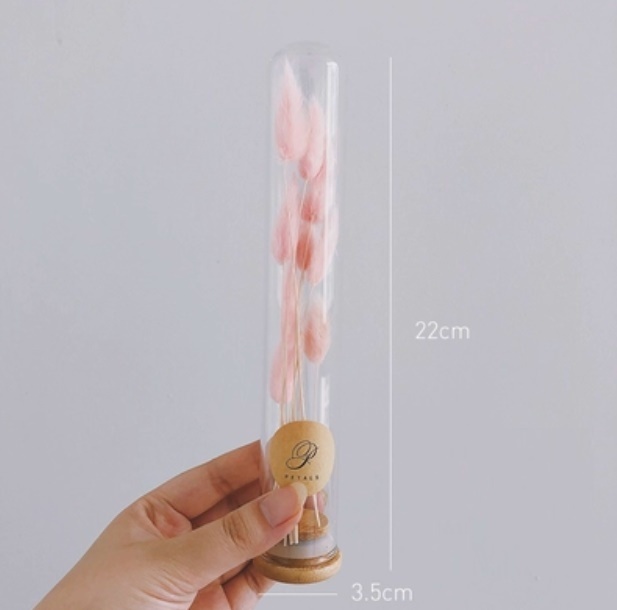 新款玻璃試管幹花花束（試管玻璃+粉色兔尾）