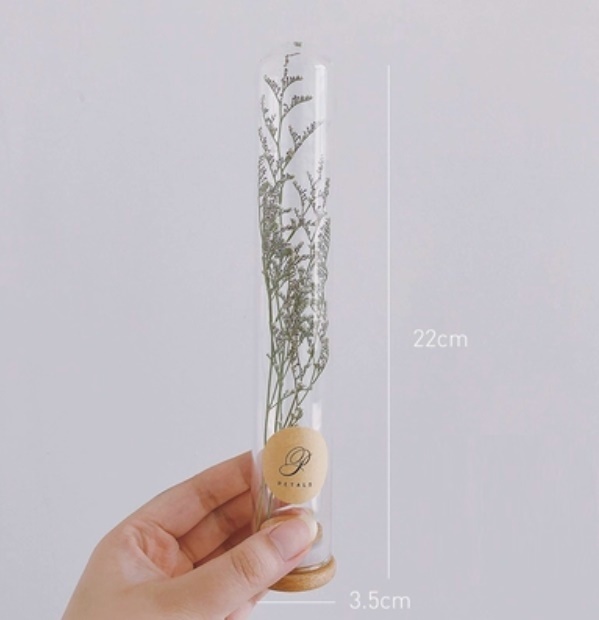 新款玻璃試管幹花花束（試管玻璃+情人草）