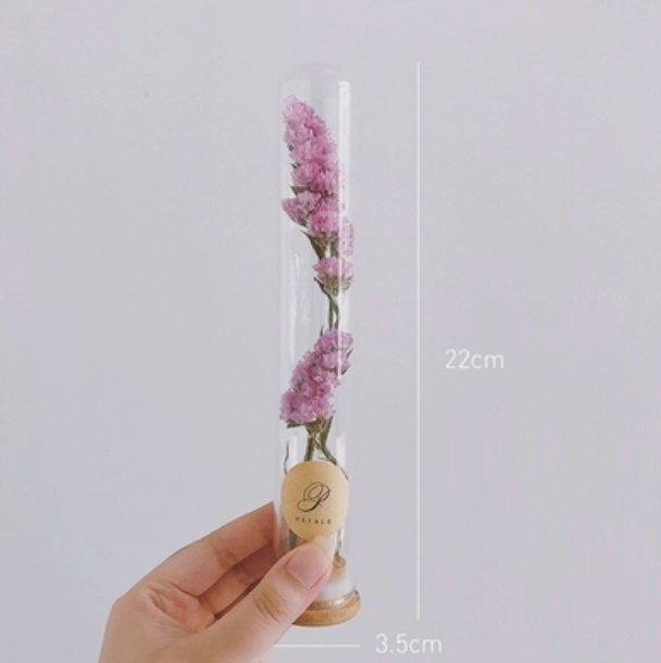 新款玻璃試管幹花花束（試管玻璃+粉勿）