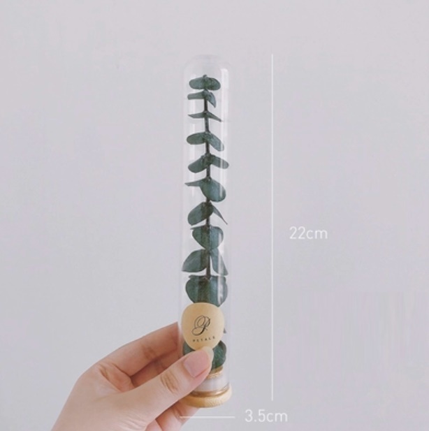 新款玻璃試管幹花花束（試管玻璃+永生尤加利葉）