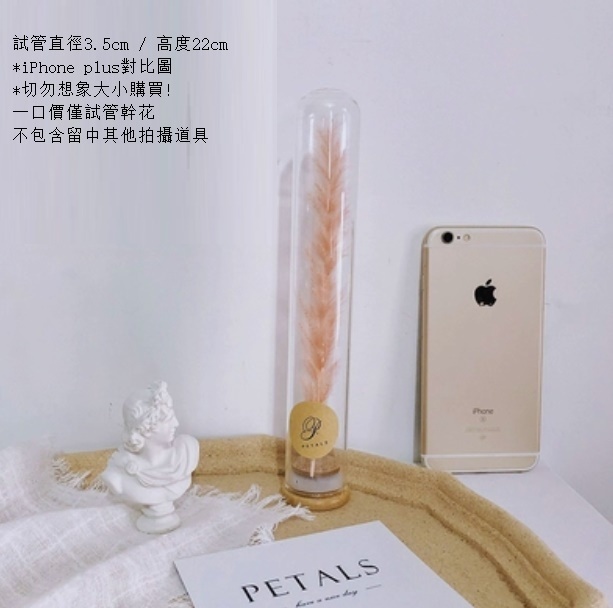 新款玻璃試管幹花花束（試管玻璃+粉蘆葦）