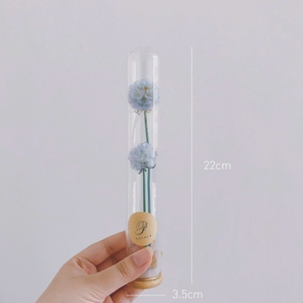 新款玻璃試管幹花花束（試管玻璃+藍風車）