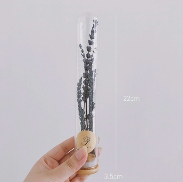 新款玻璃試管幹花花束（試管玻璃+薰衣草）