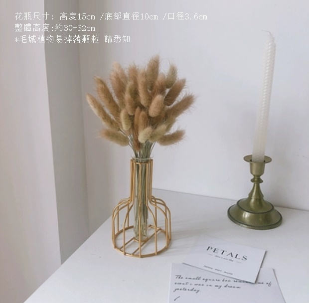新款風幹花裝飾擺件（金色鐵藝花瓶 原色兔尾草）