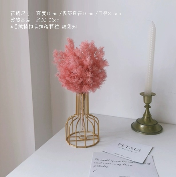 新款風幹花裝飾擺件（金色鐵藝花瓶 小粉雪松）
