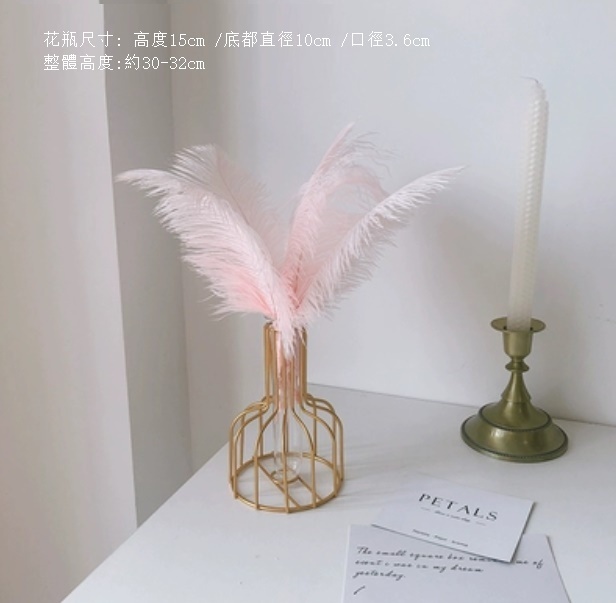 新款風幹花裝飾擺件（金色鐵藝花瓶 鴕鳥羽毛5片）